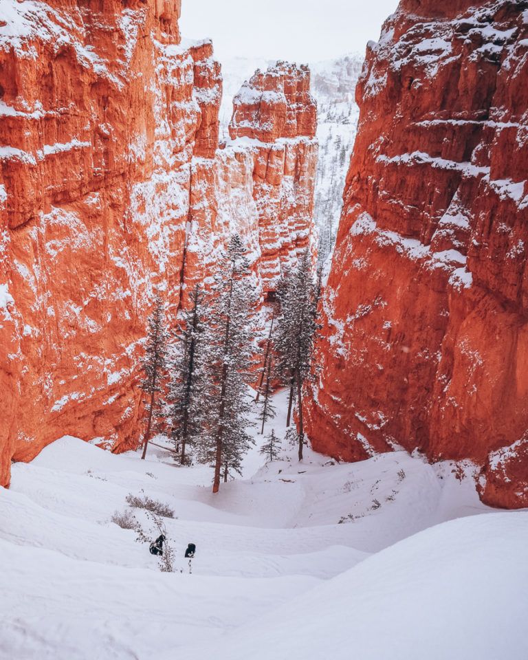 Best National Parks To Visit In Winter