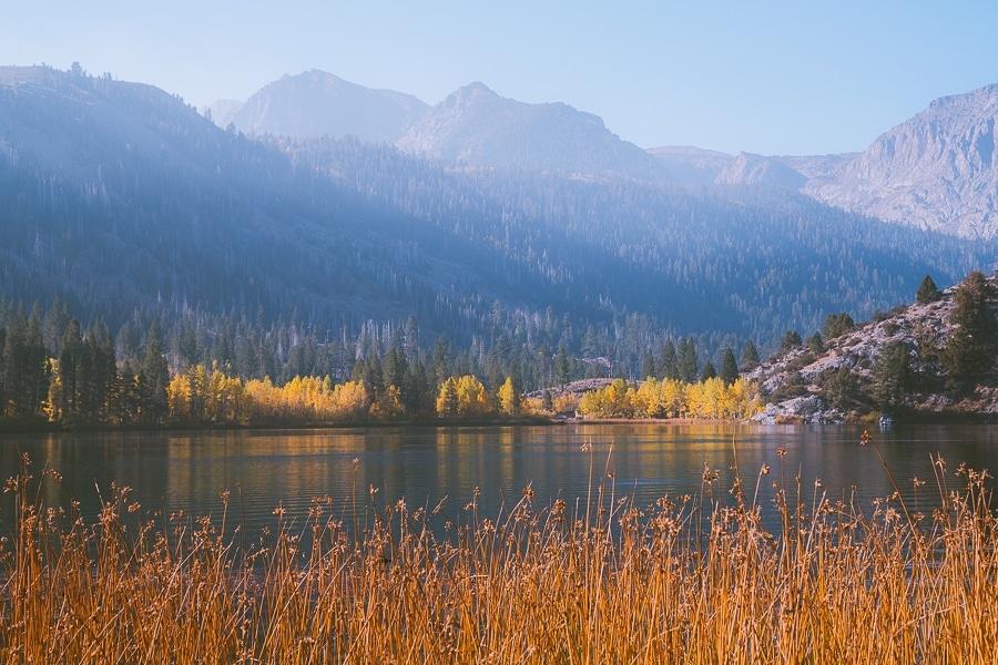 Where To Find Fall Colors Near Mammoth Lakes