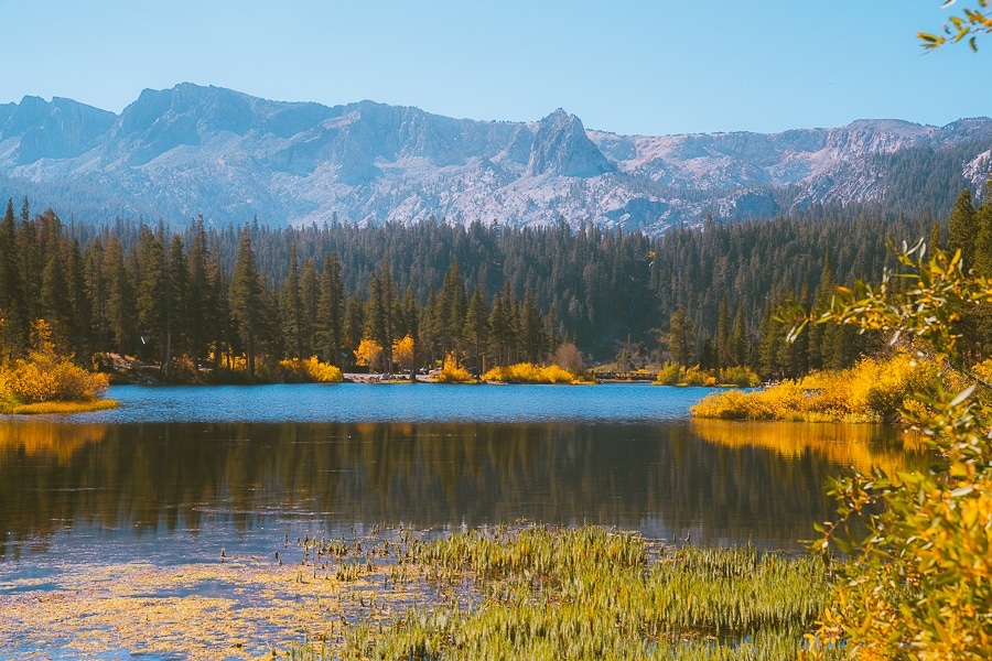 Where To Find Fall Colors Near Mammoth Lakes