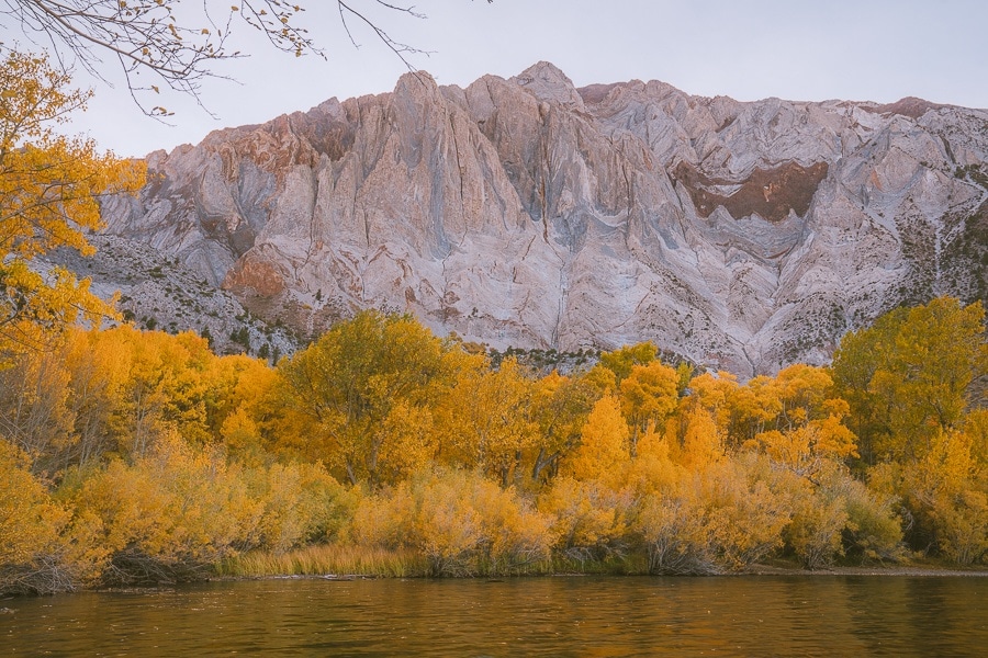 Where To Find Fall Colors Near Mammoth Lakes