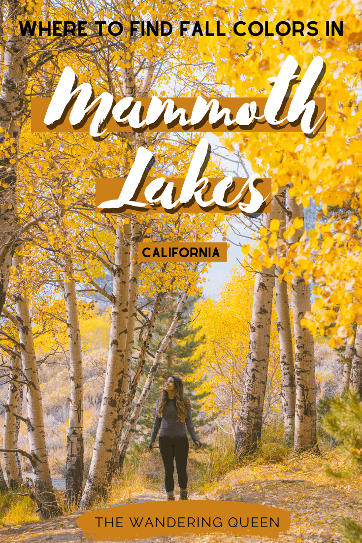 Where To Find Fall Colors Near Mammoth Lakes