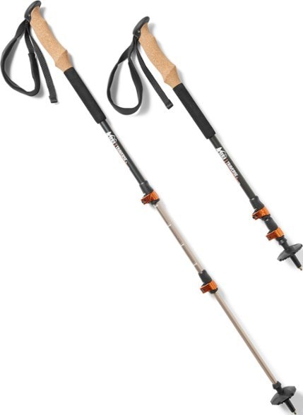 REI Co-op Traverse Trekking Poles - Pair