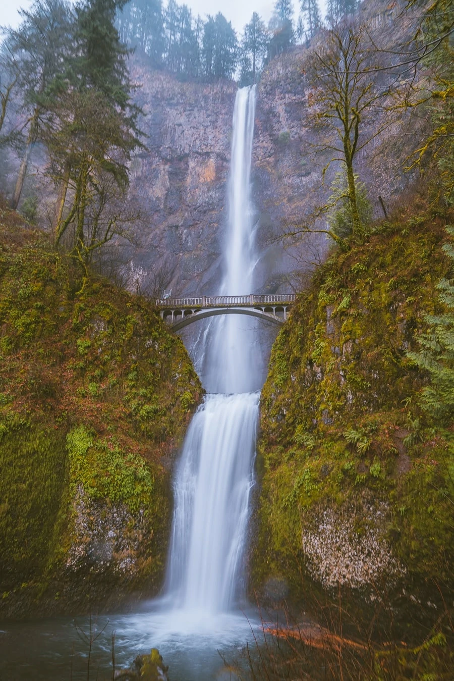 Columbia Trail  A Scenic Hike Alongside the Columbia River