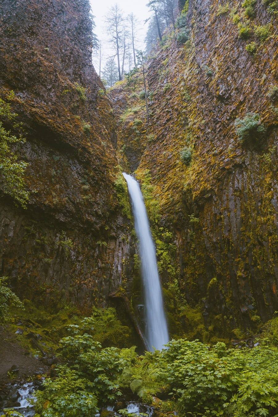 Dry Creek Falls