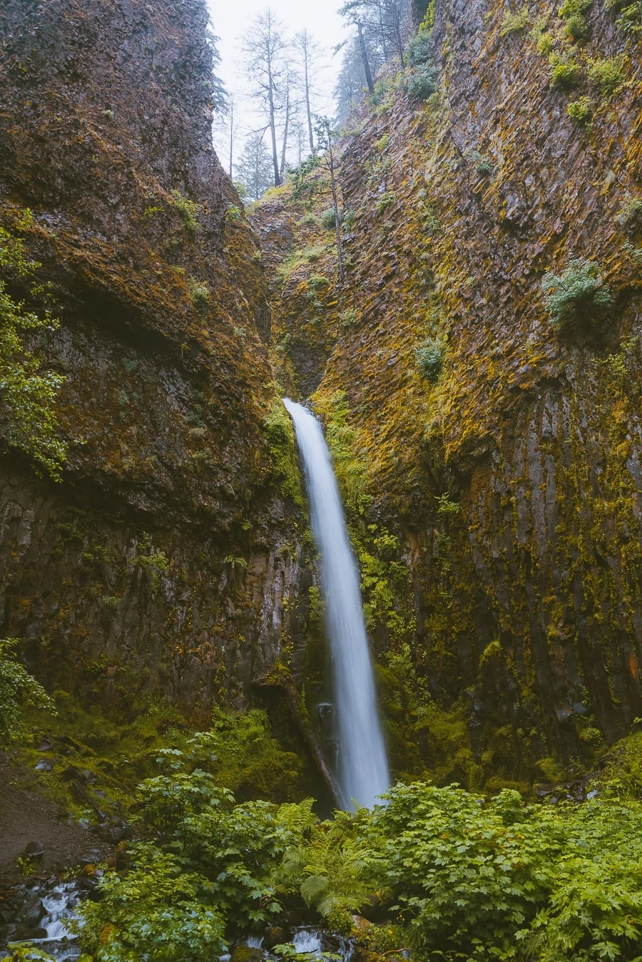 Dry Creek Falls