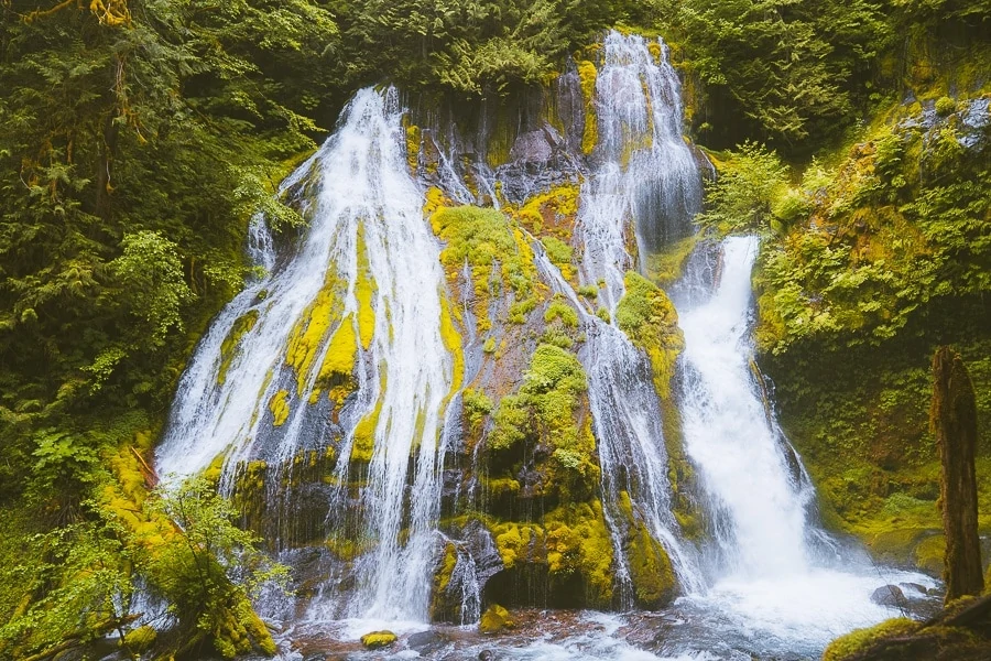 Panther Creek Falls