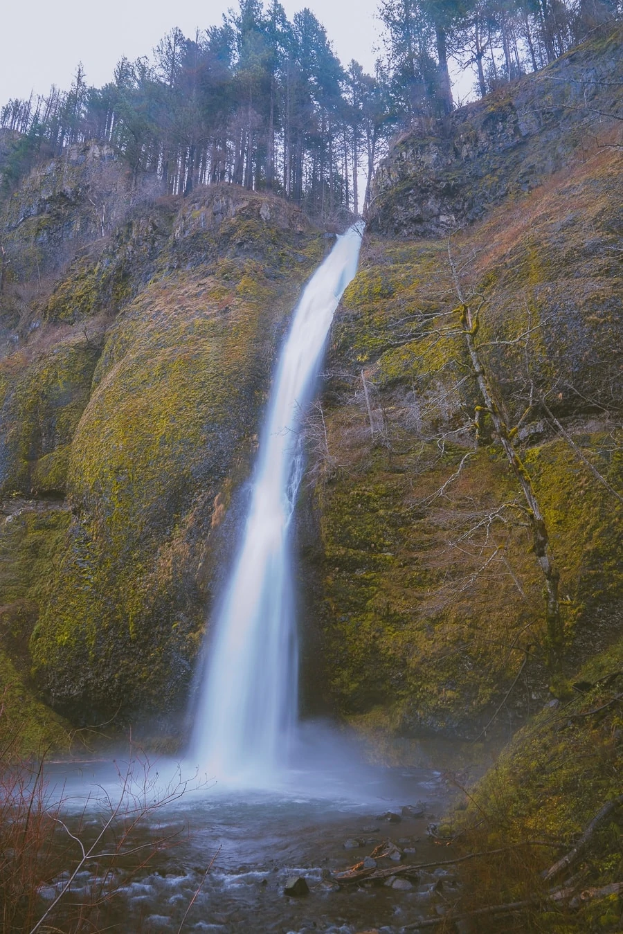 Horsetail Falls