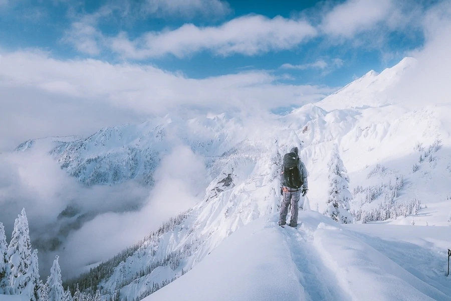 Artist Point