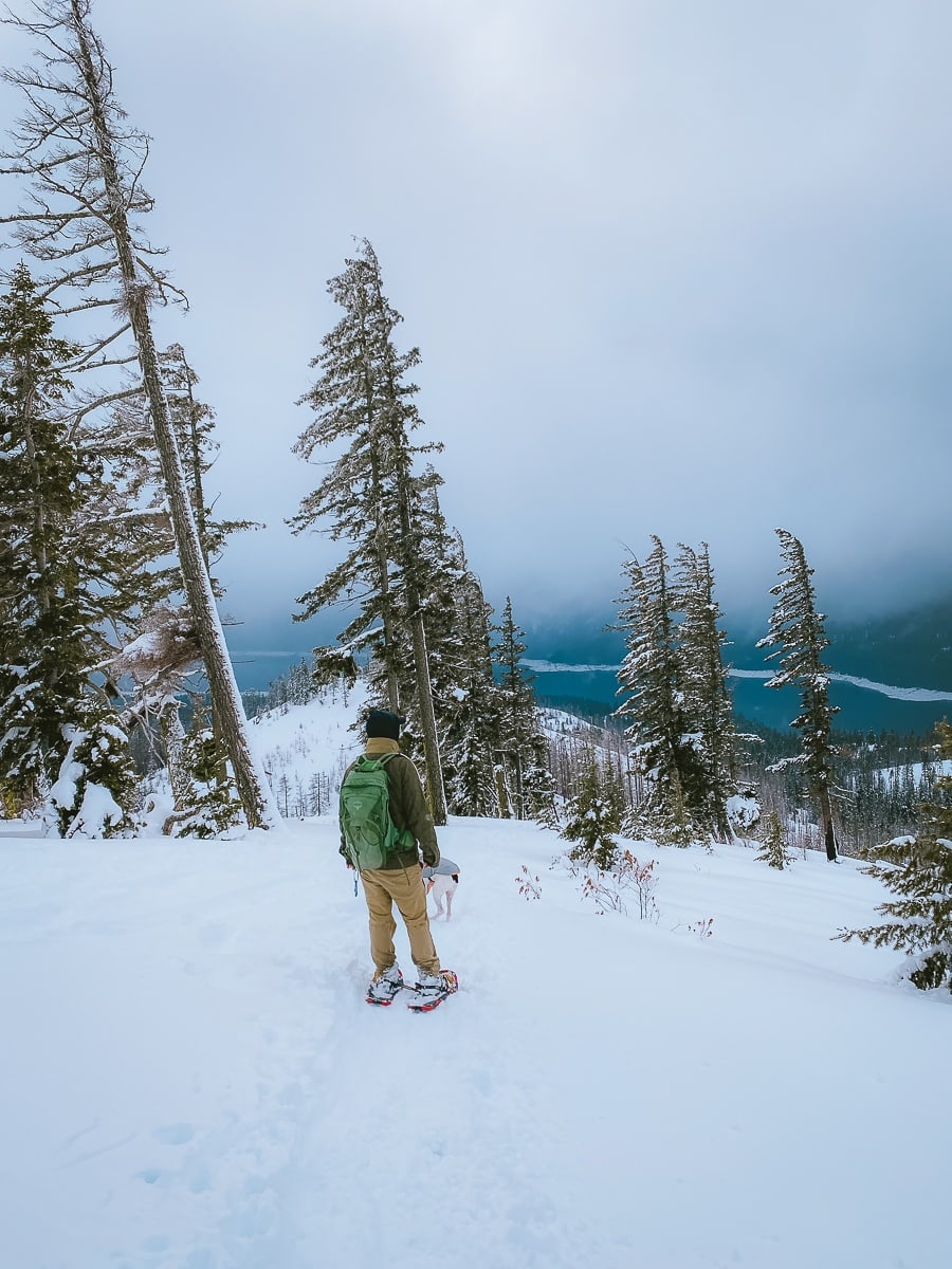 Hex Mountain Snowshoe