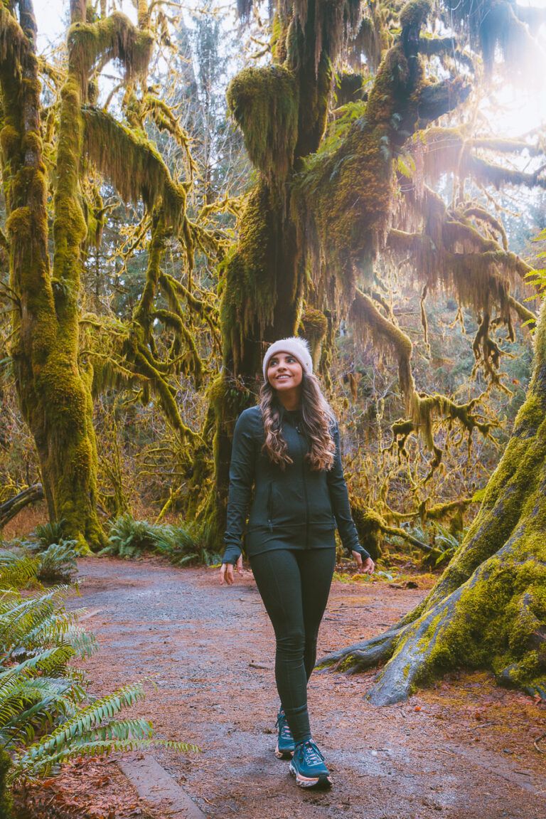 The 21 Best Hikes In Olympic National Park