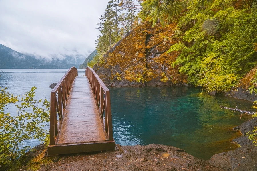 Olympic national discount park hiking trails