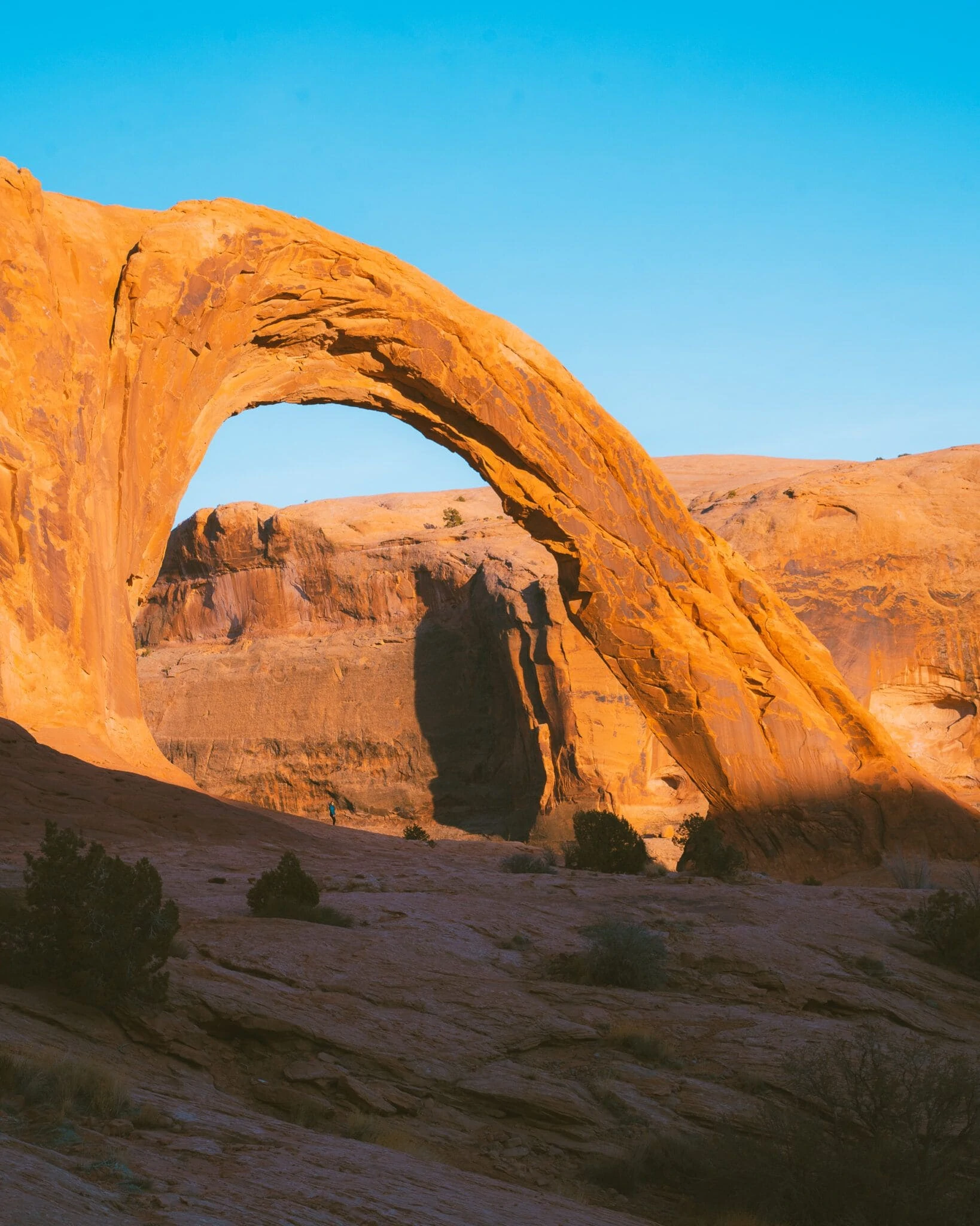 corona arch