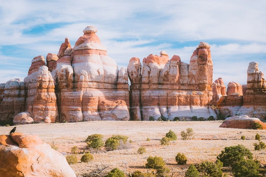 the needles district