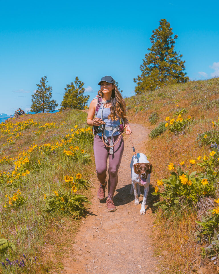 The 12 Mind-Blowing Health Benefits Of Hiking