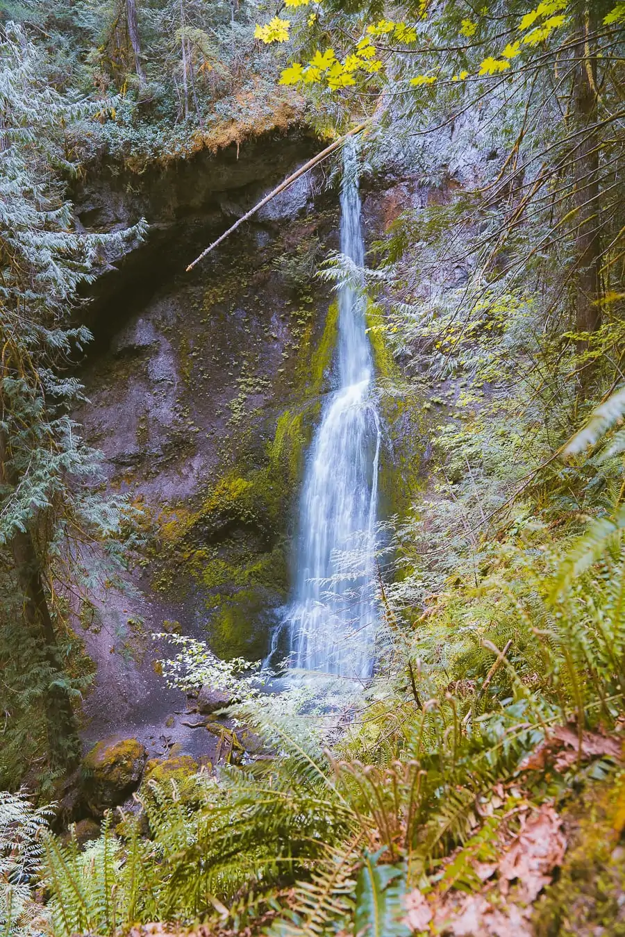 Marymere Falls