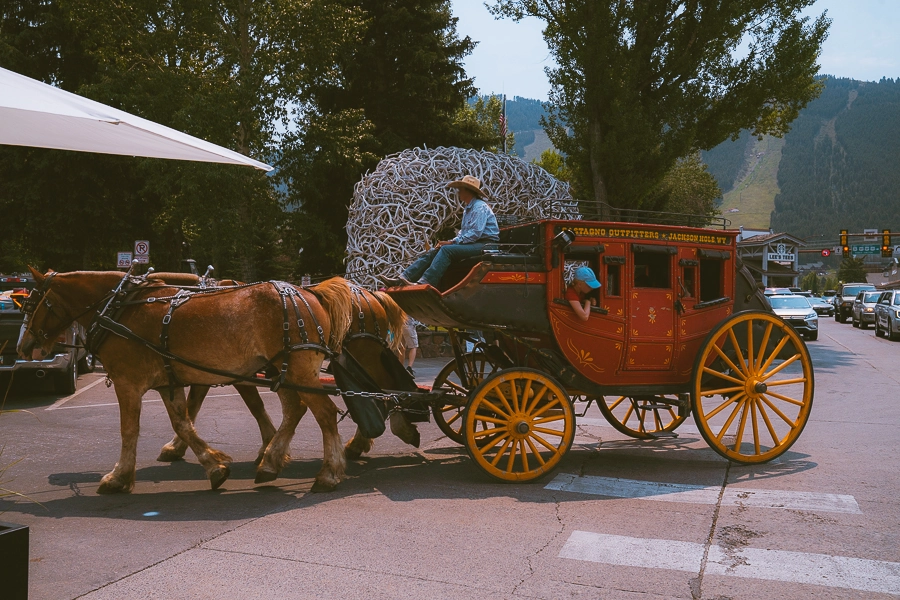 Jackson Hole