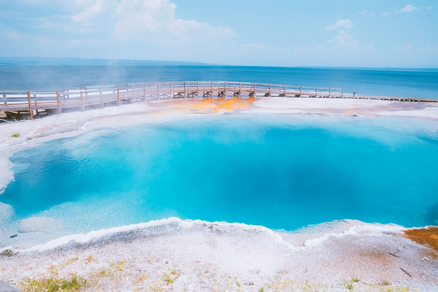 Black Pool