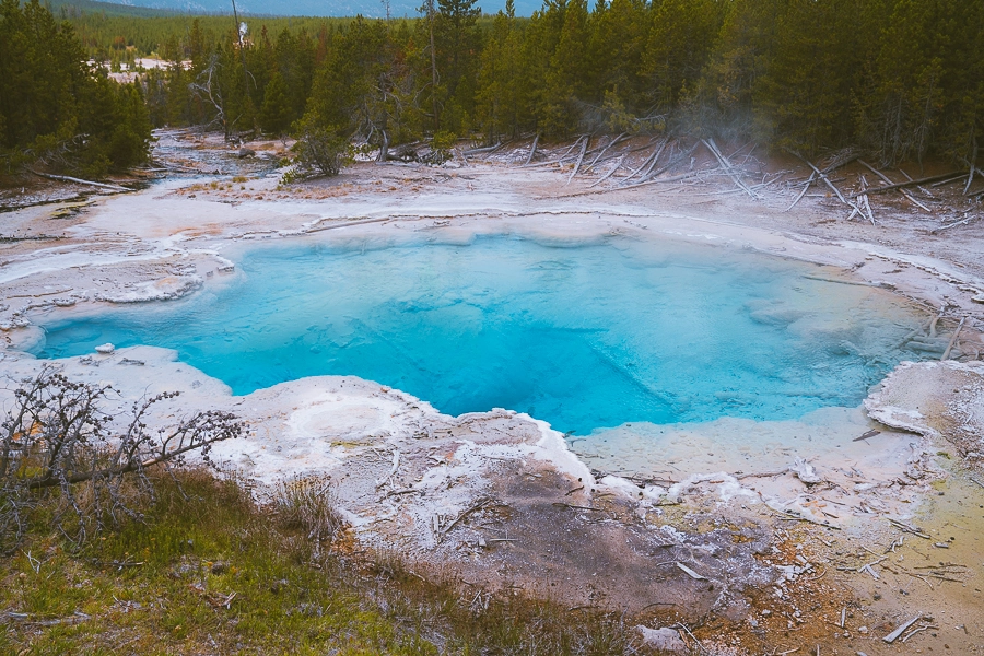 Norris Geyser Basin