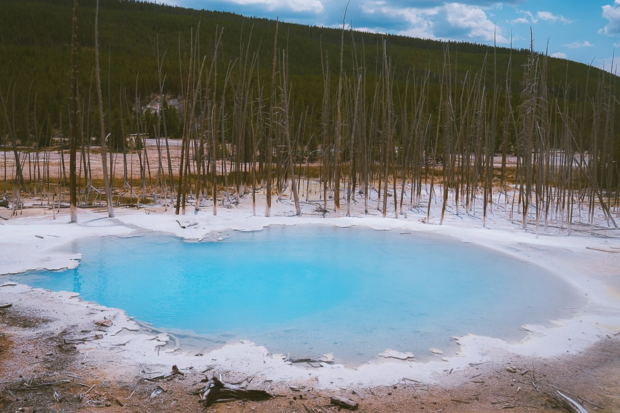 Cistern Spring