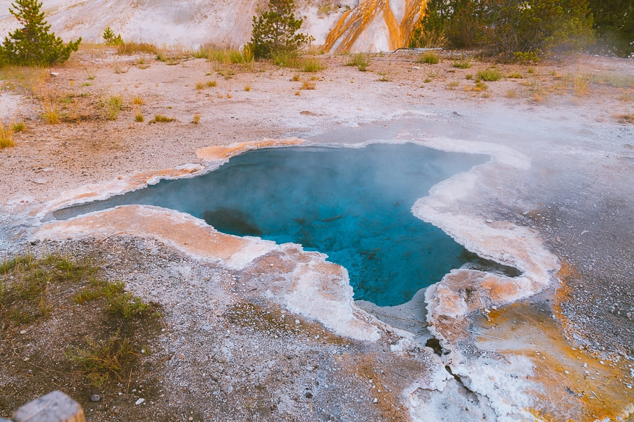 Upper Geyser Basin And Geyser Hill