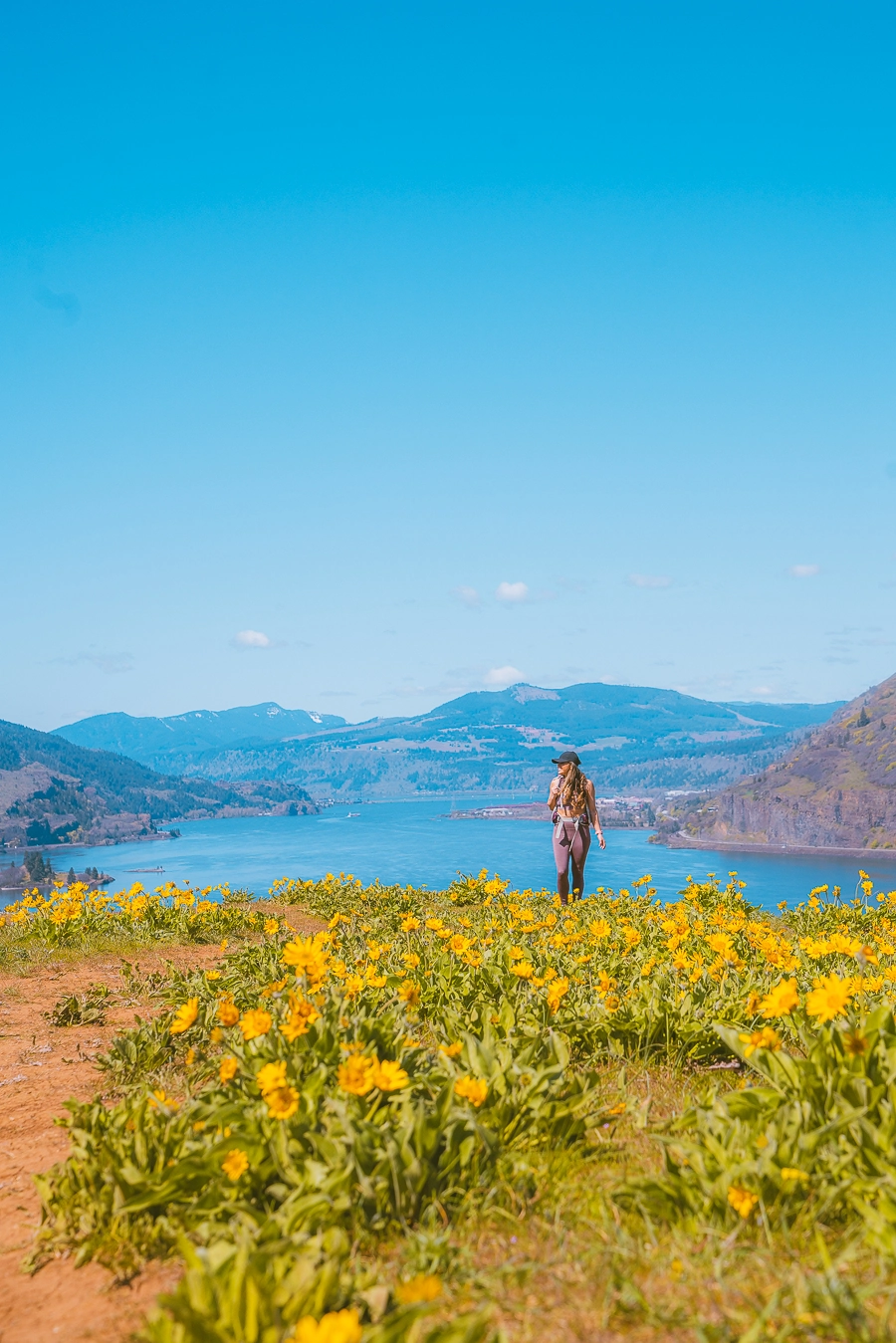 Mosier Cape Viewpoint in the Spring