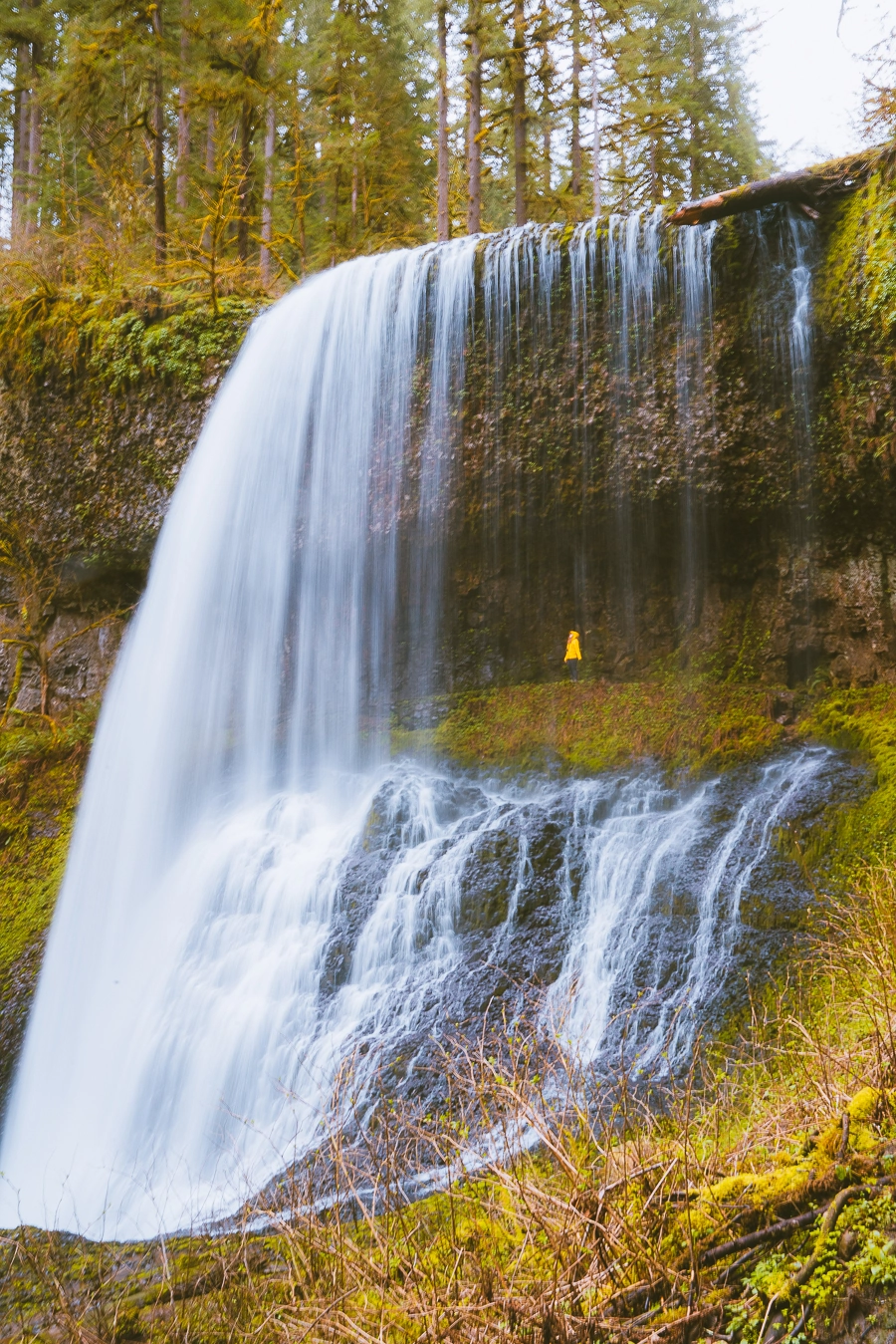 Trail Of Ten Falls