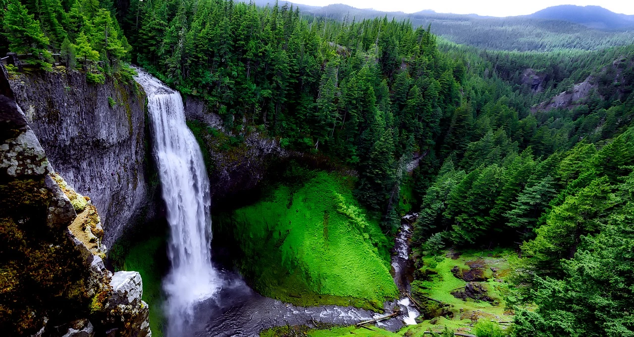 Salt Creek Falls