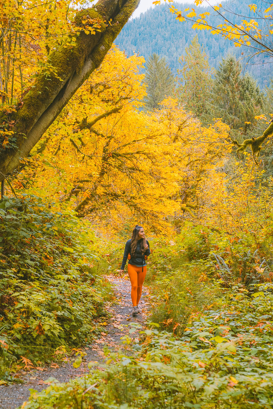 11 Best Fall Hikes In Washington State Things to Consider The Wandering Queen