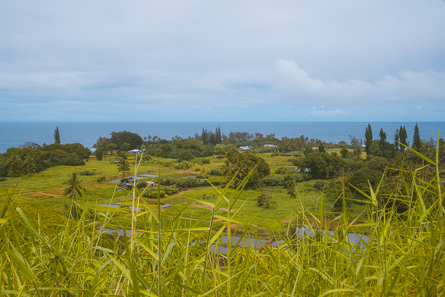 Best Stops On The Road To Hana Itinerary
