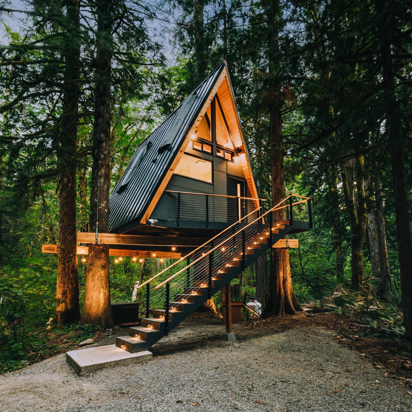 The Treeframe Cabin