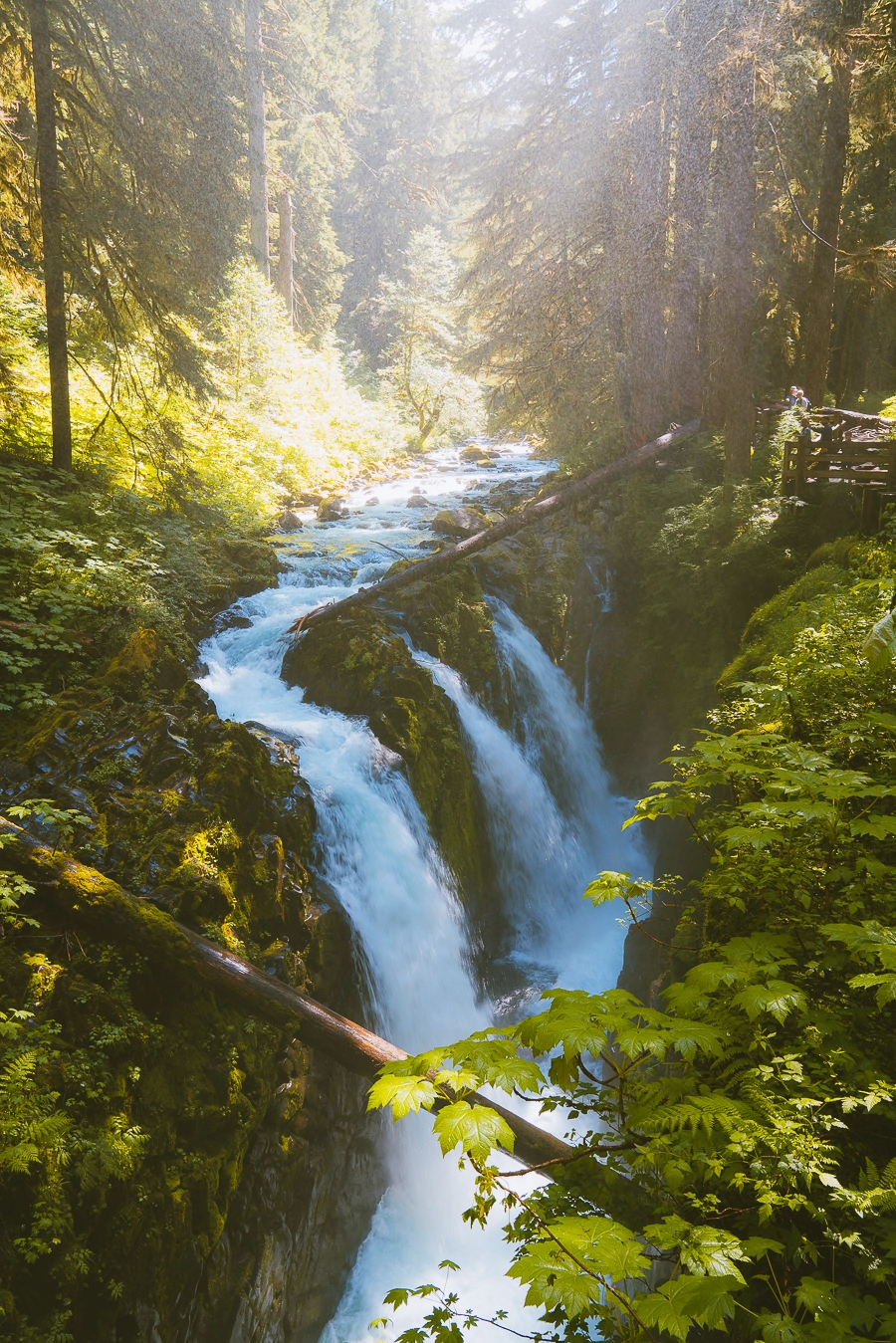 Sol Duc Falls