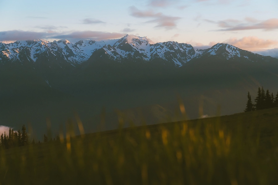 Hurricane Ridge