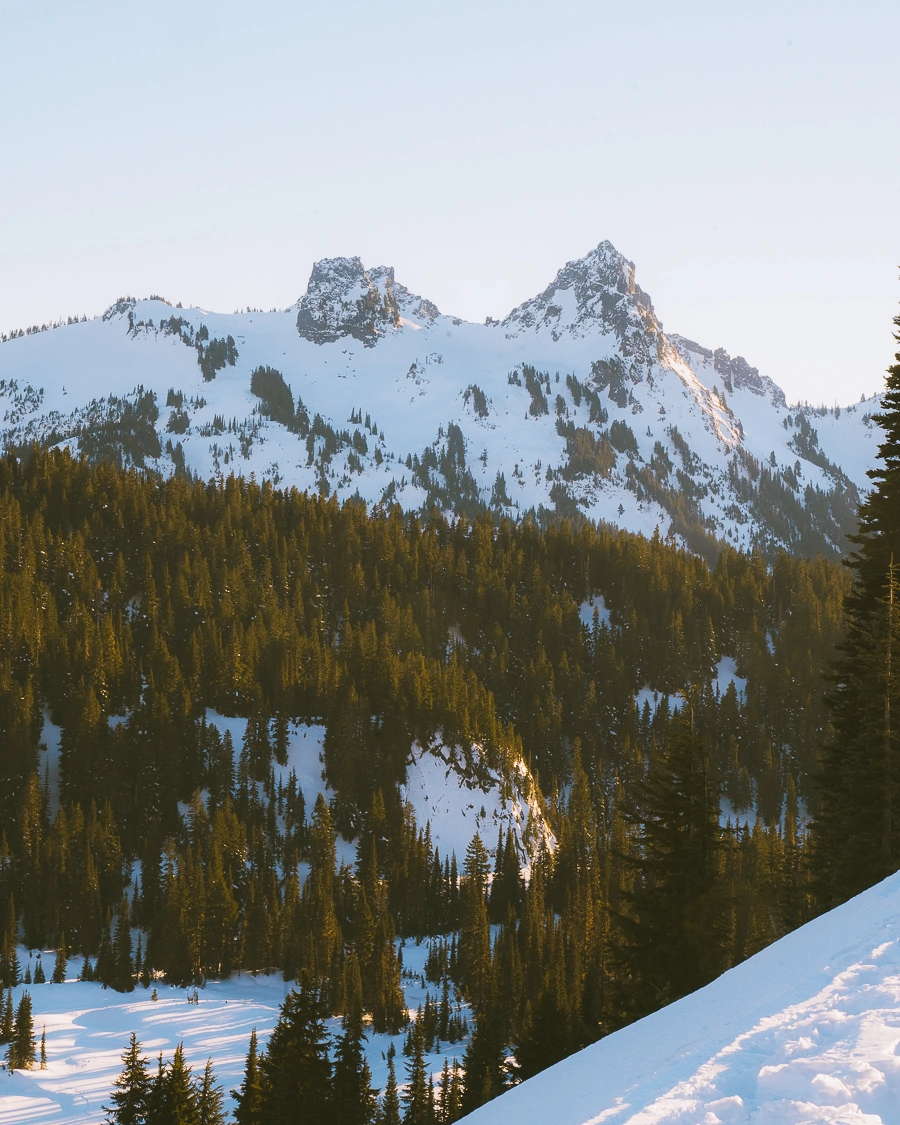 Snowshoeing Mt Rainier