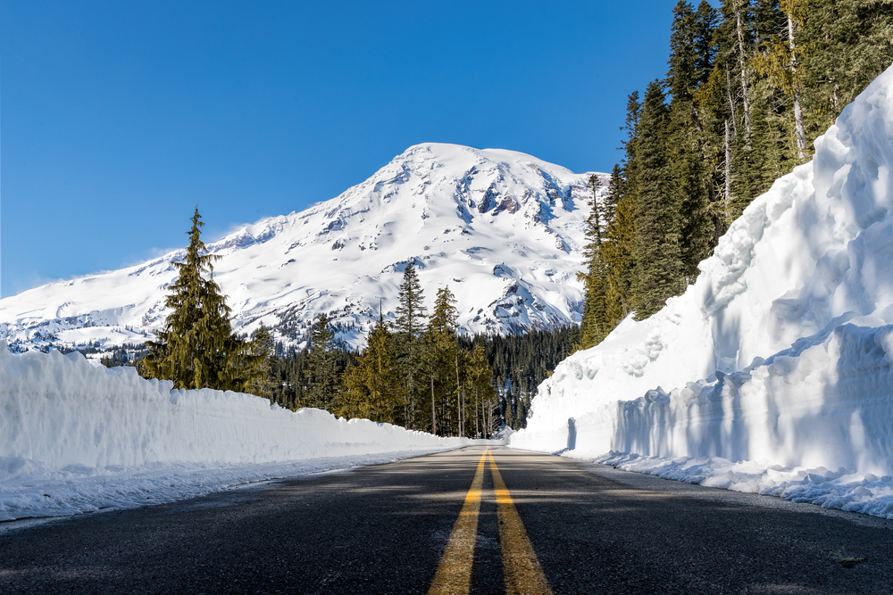 Snowshoeing Mt Rainier