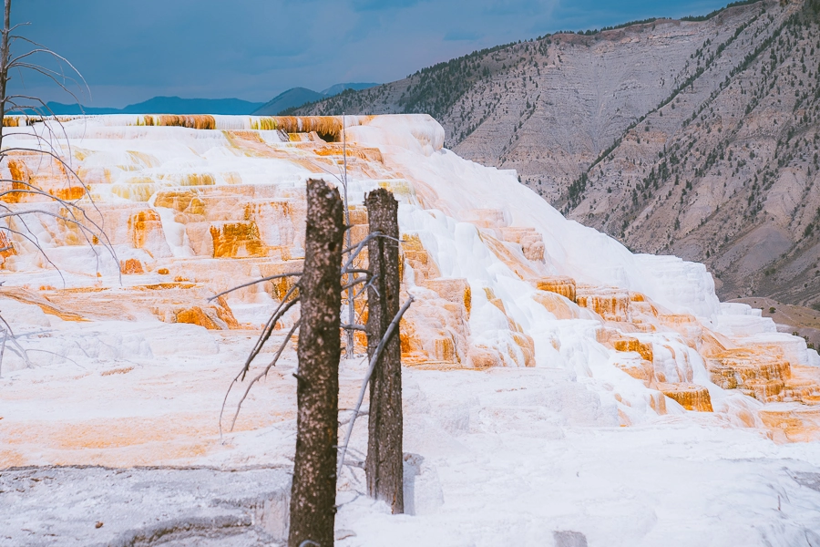 Mammoth Hot Springs