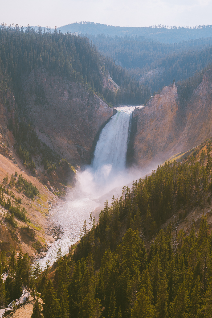The Grand Canyon Of Yellowstone