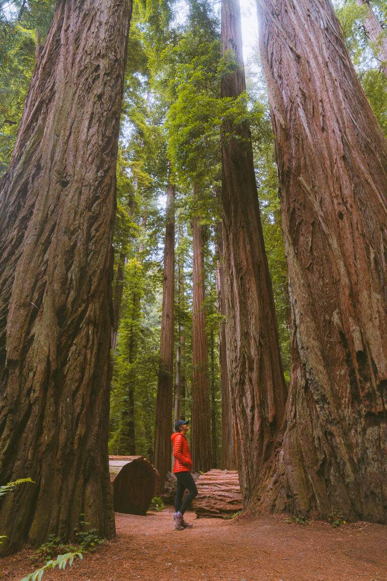 The Ultimate Pacific Northwest Road Trip Itinerary - The Wandering Queen