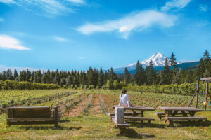 The Ultimate Pacific Northwest Road Trip Itinerary - The Wandering Queen
