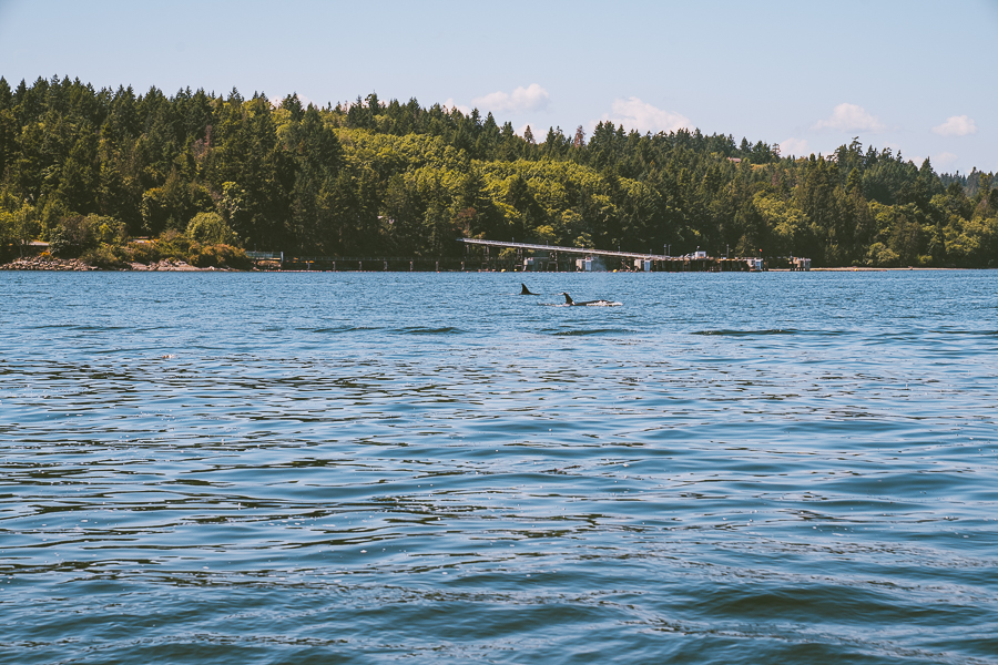 San Juan Islands