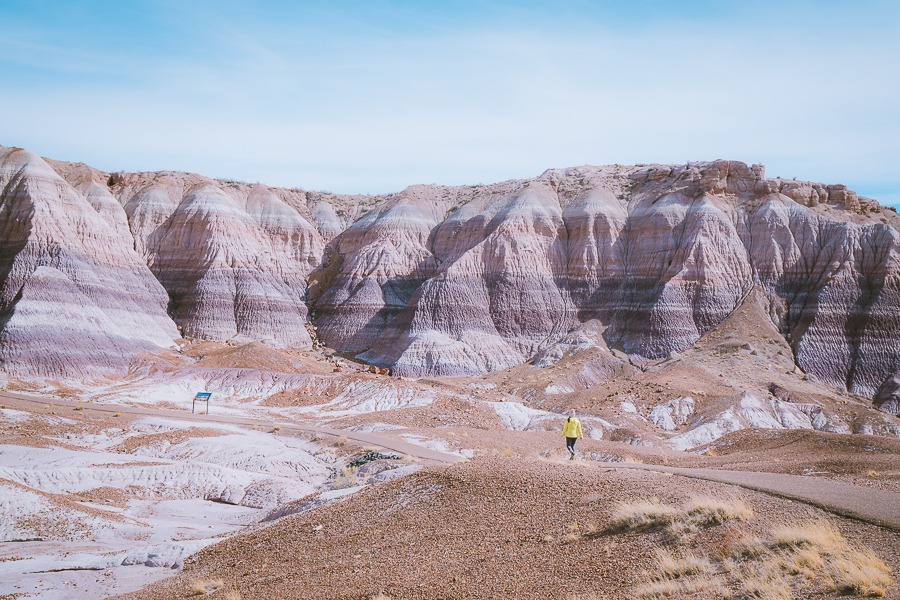 Blue Mesa Trail