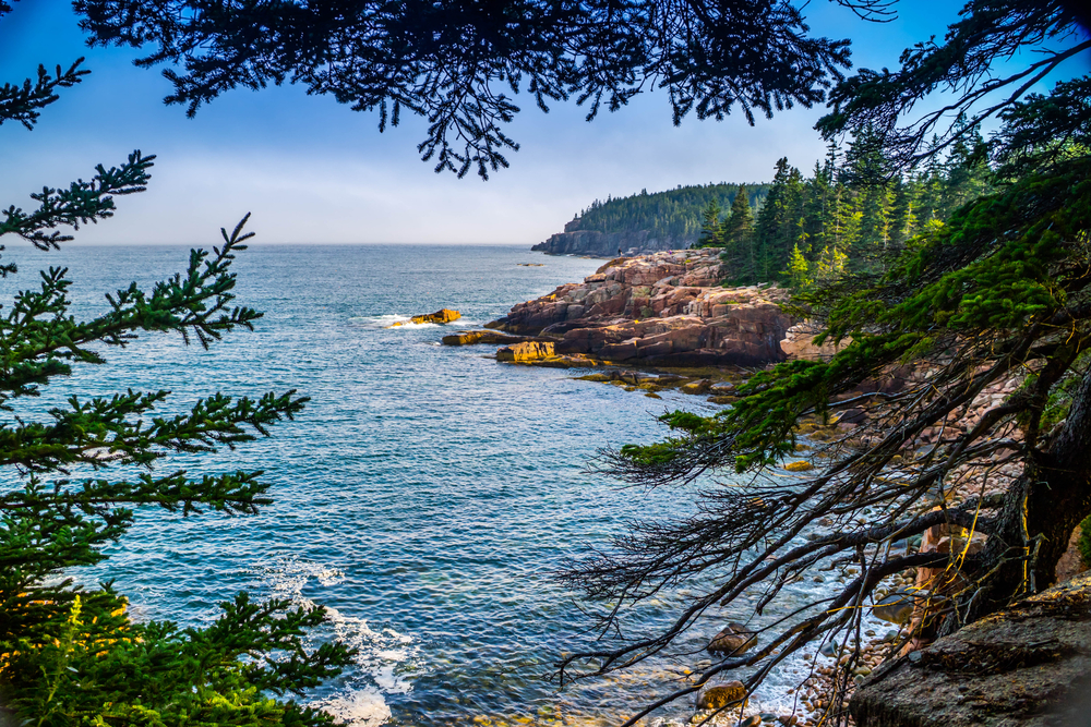 Ocean Path Trail