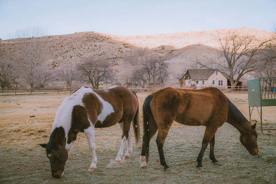 Historic Fruita