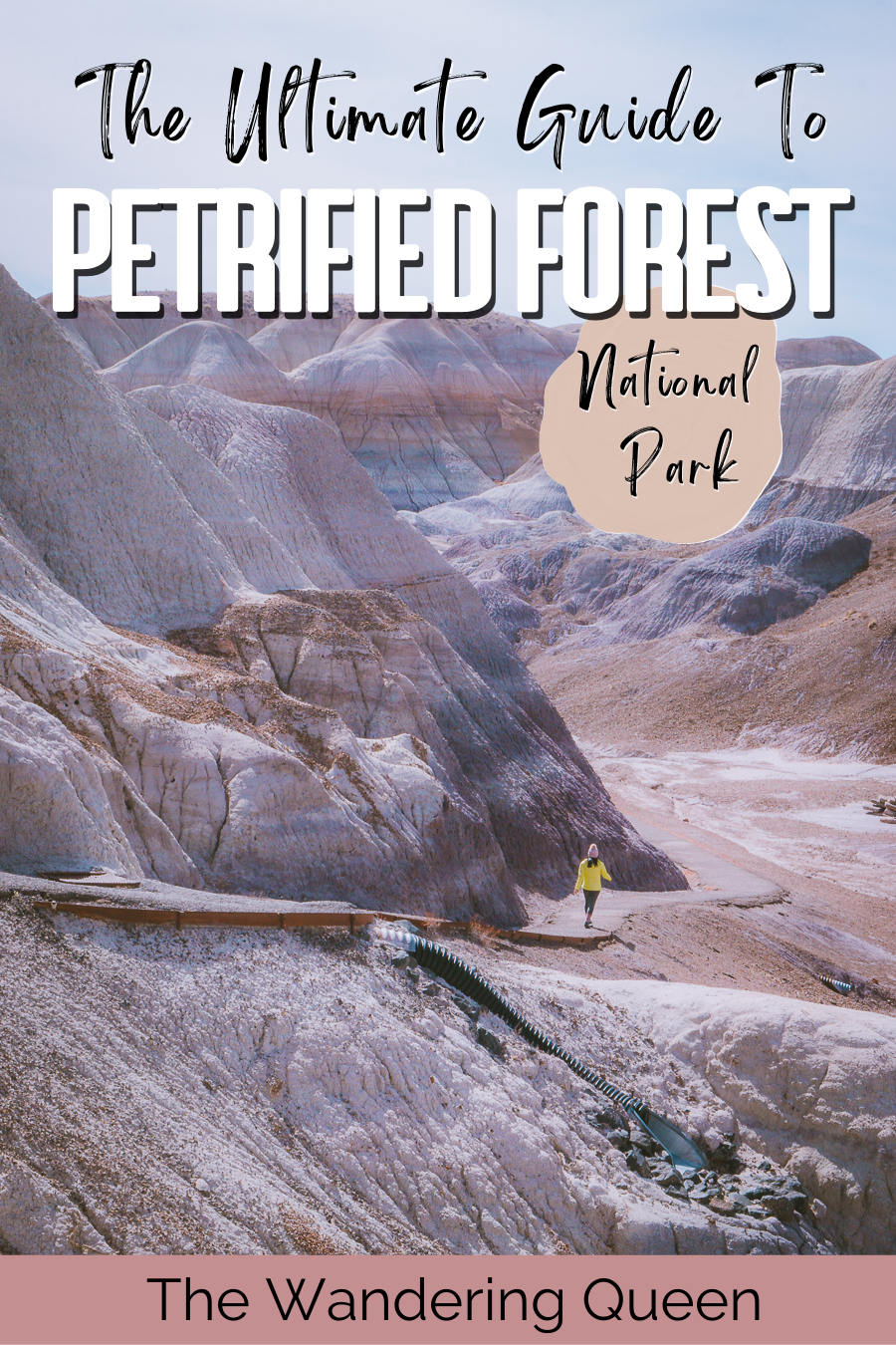 Petrified Forest National Park