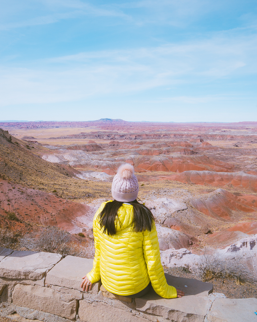 Petrified Forest National Park