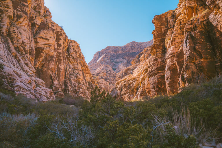 The 6 Best Hikes In Red Rock Canyon Las Vegas