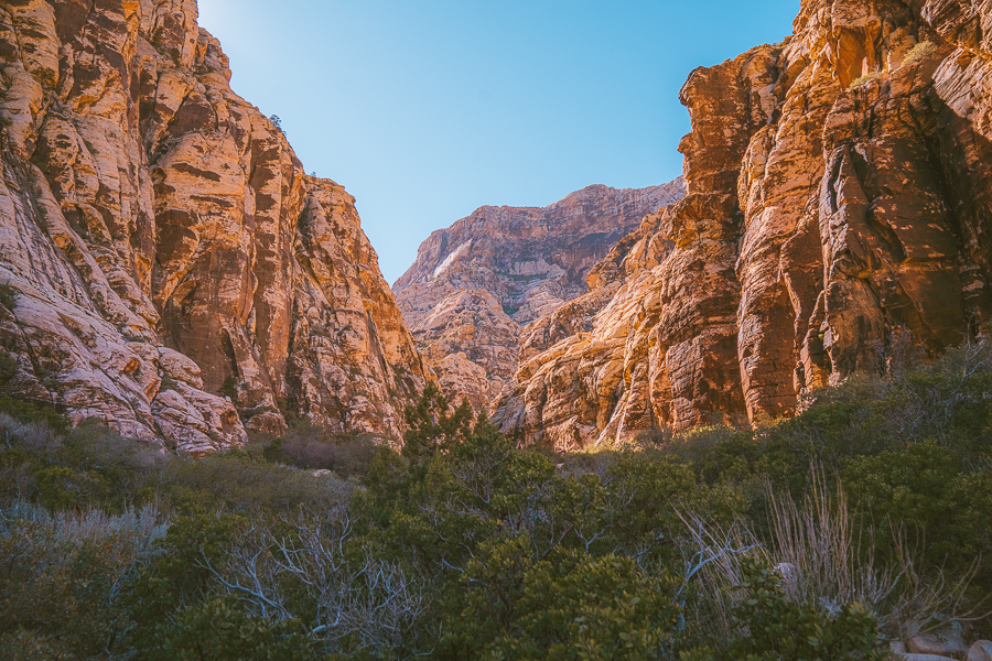 Best Hikes In Red Rock Canyon