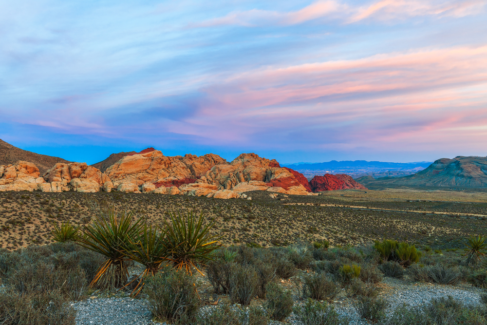 Best Hikes In Red Rock Canyon