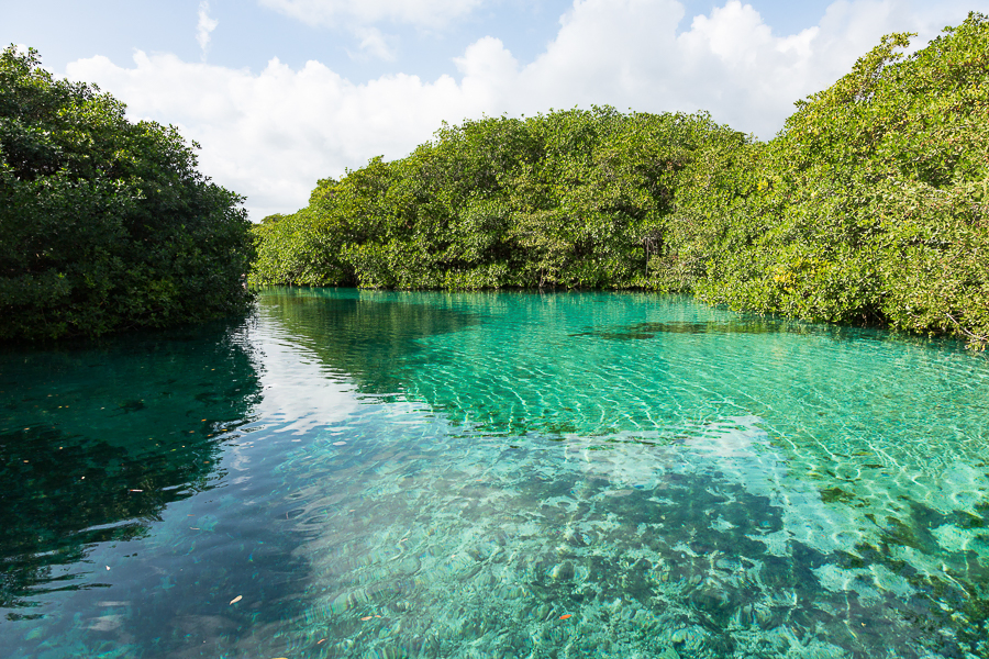 Best Cenotes in Tulum