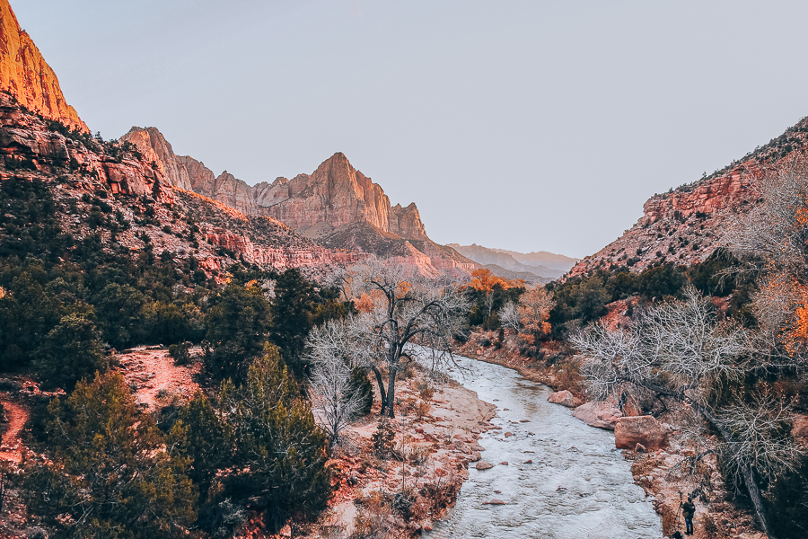 Best Hikes in Zion National Park