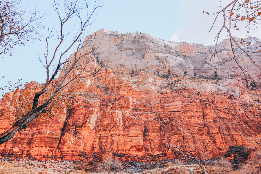 Where To Stay in Zion National Park